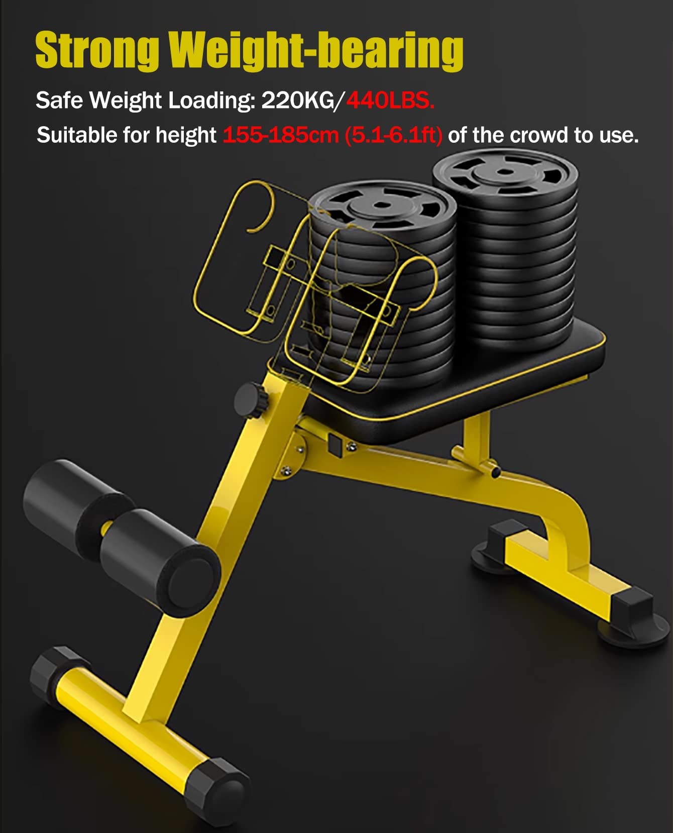 Ab Bench FANATICS Roman Chair Back Extension Machine