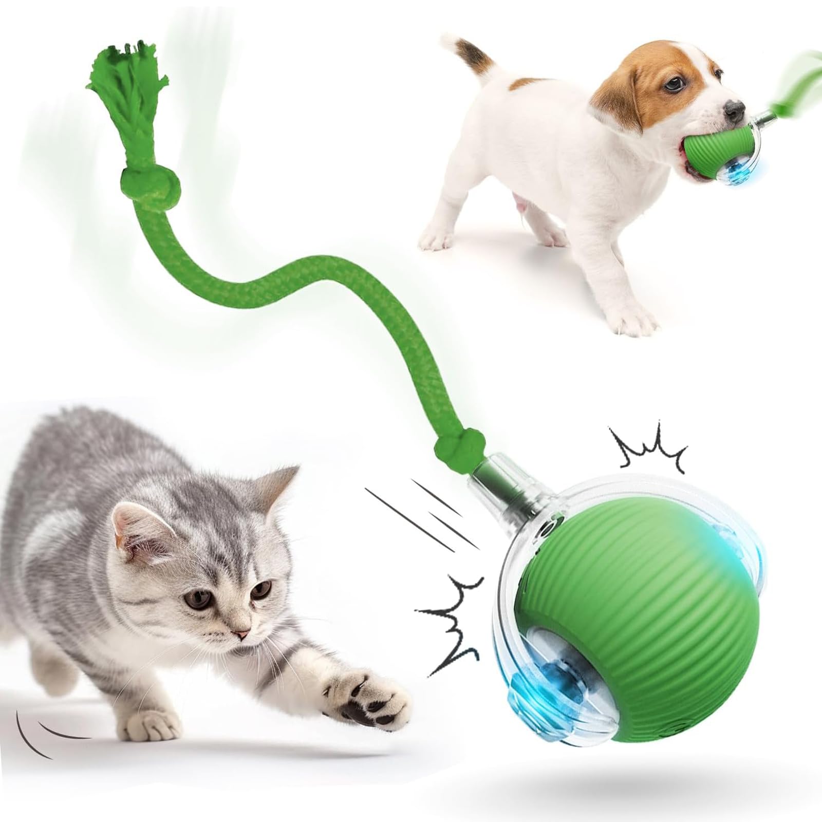 Balle interactive intelligente pour chat fatigué d'intérieur, évite l'ennui en vert