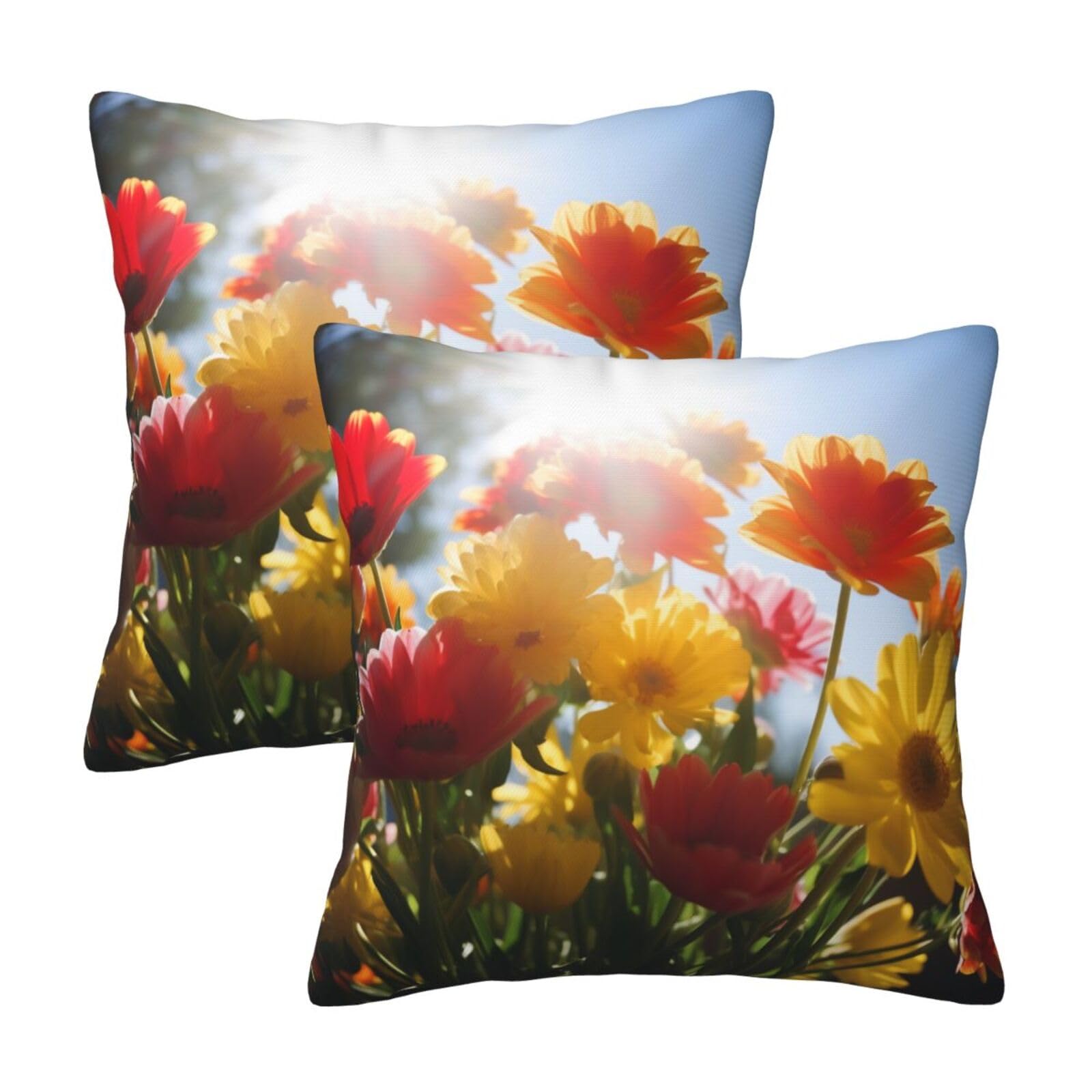 Flowers in Sunshine Throw Pillow Cases 2 Pack Square Pillowcases Soft Pillow Protectors for Couch Livingroom Sofa Bed Office Car,30x30 CM