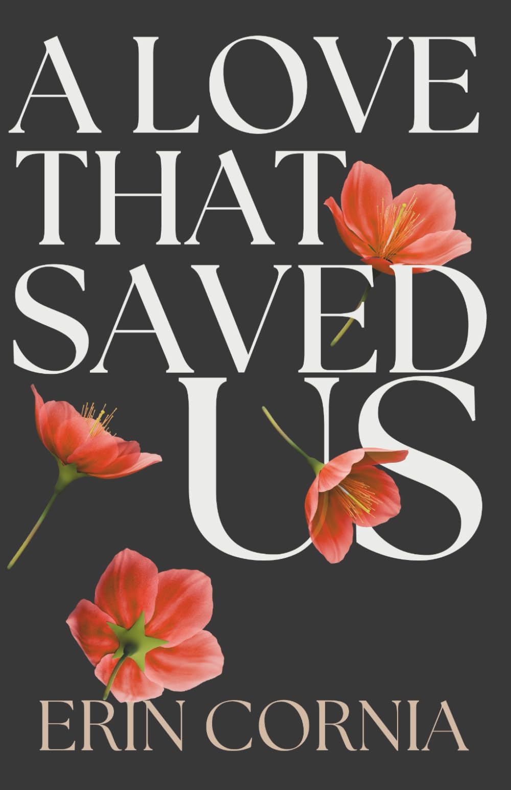 A Love That Saved Us (The Chicago Series)