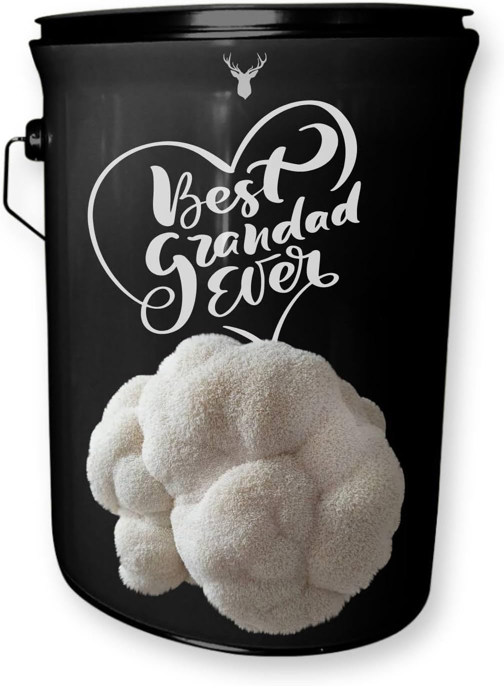 Best Grandad Ever Lion's Mane Mushroom Grow Kit - Unique Gift for Grandfathers, Easy Growing Gourmet Mushrooms