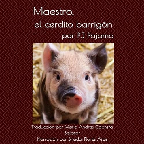 Page de couverture de Maestro, el cerdito barrig&oacute;n [Master, the Potbellied Pig]