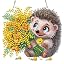 Hedgehog Flowers