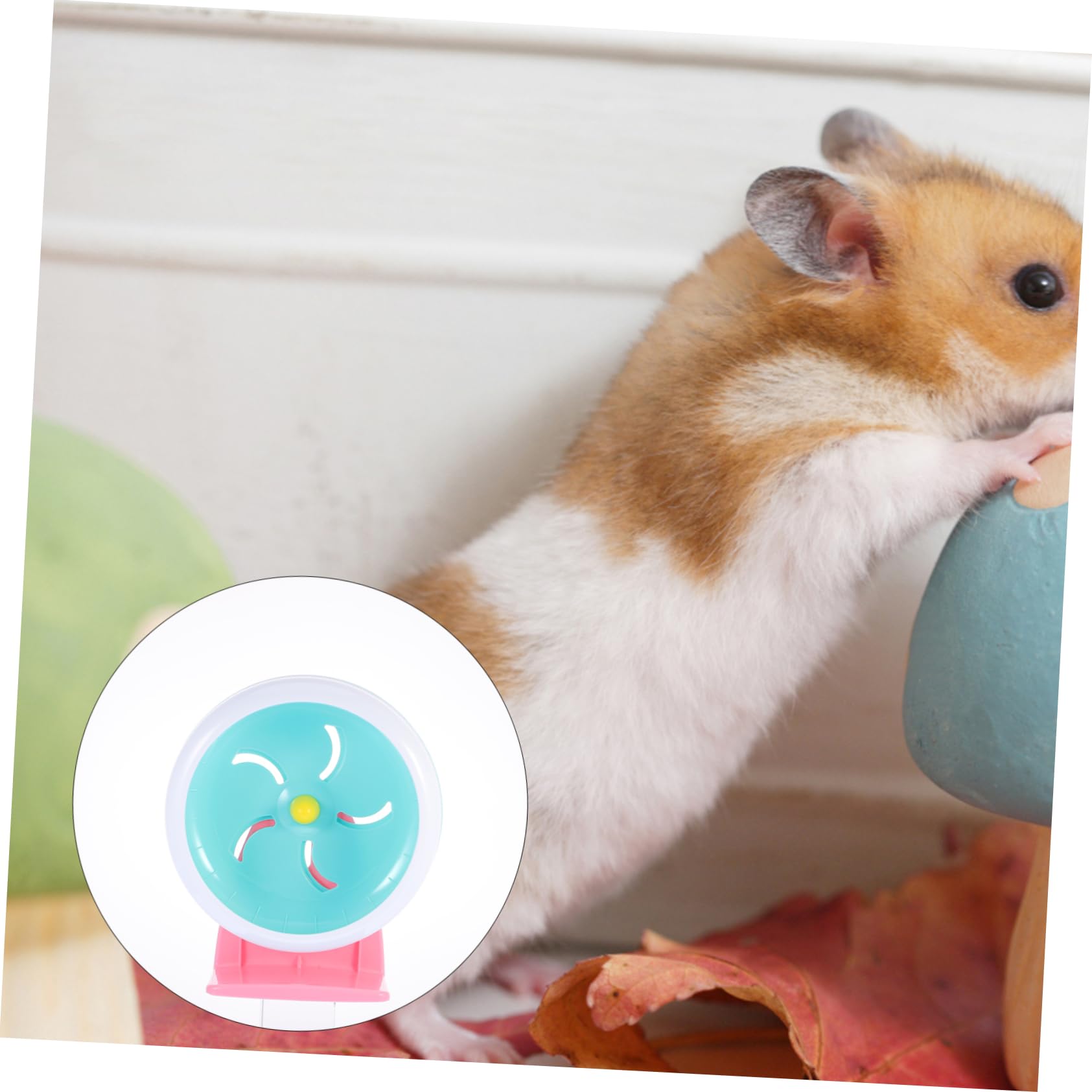 minkissy 2 Piezas Rueda De Hámster Ejercicio para Mascotas Rueda De Ratón Perro Conmemorativo Rueda De Ejercicio para Hámster Páginas Conejillo De Indias Juego De Juguetes Aptitud Física
