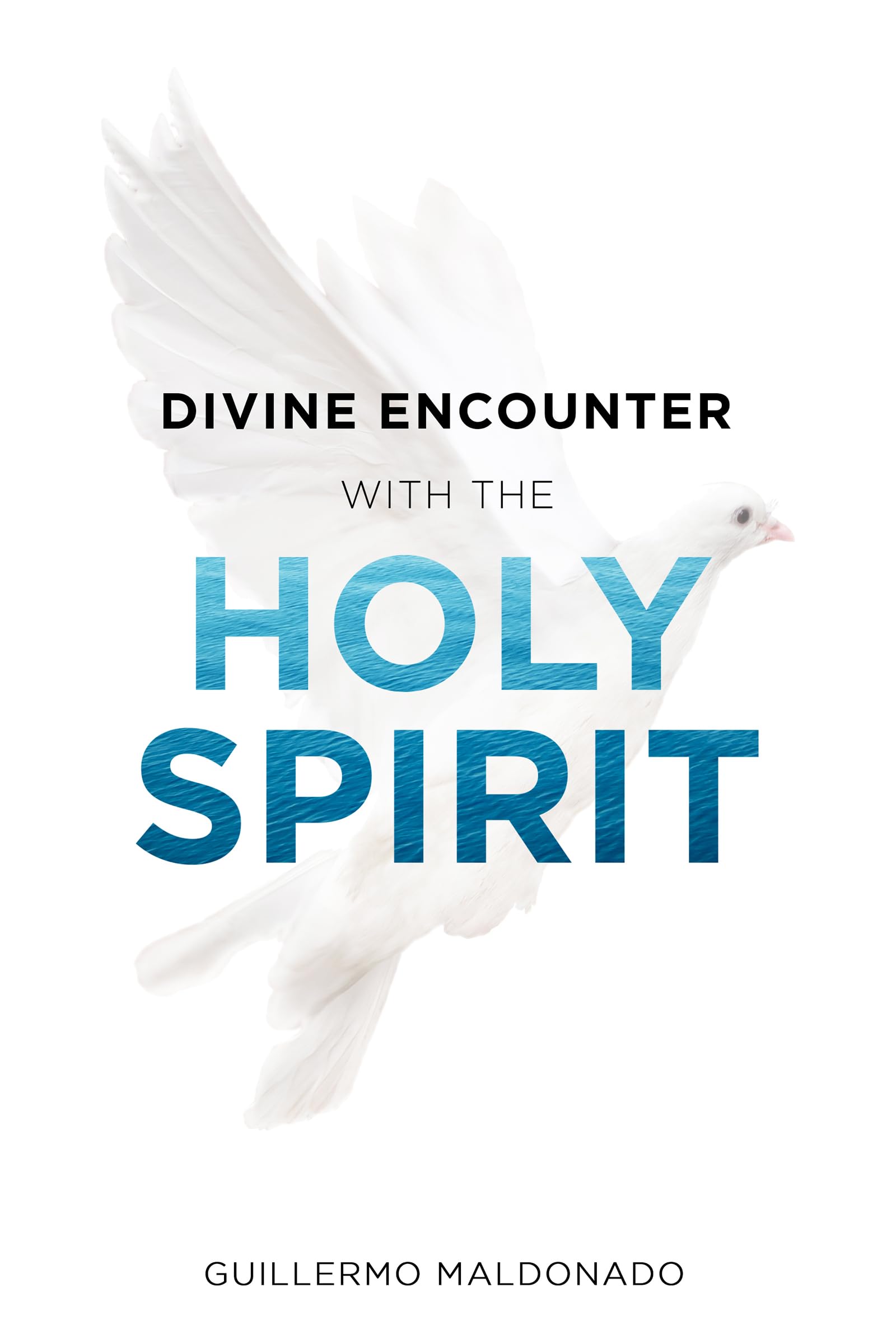 Divine Encounter with the Holy Spirit Paperback – October 3, 2017