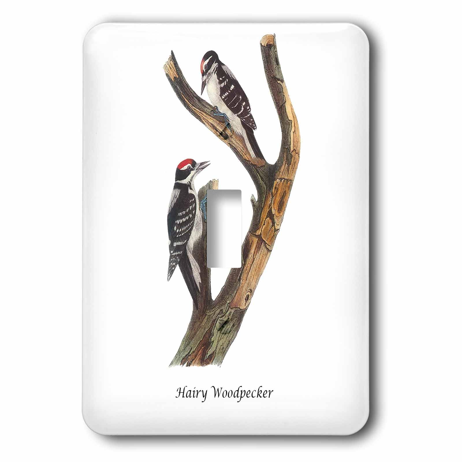 Interrupteur à bascule simple 3dRose John James Audubon lsp_114055_1