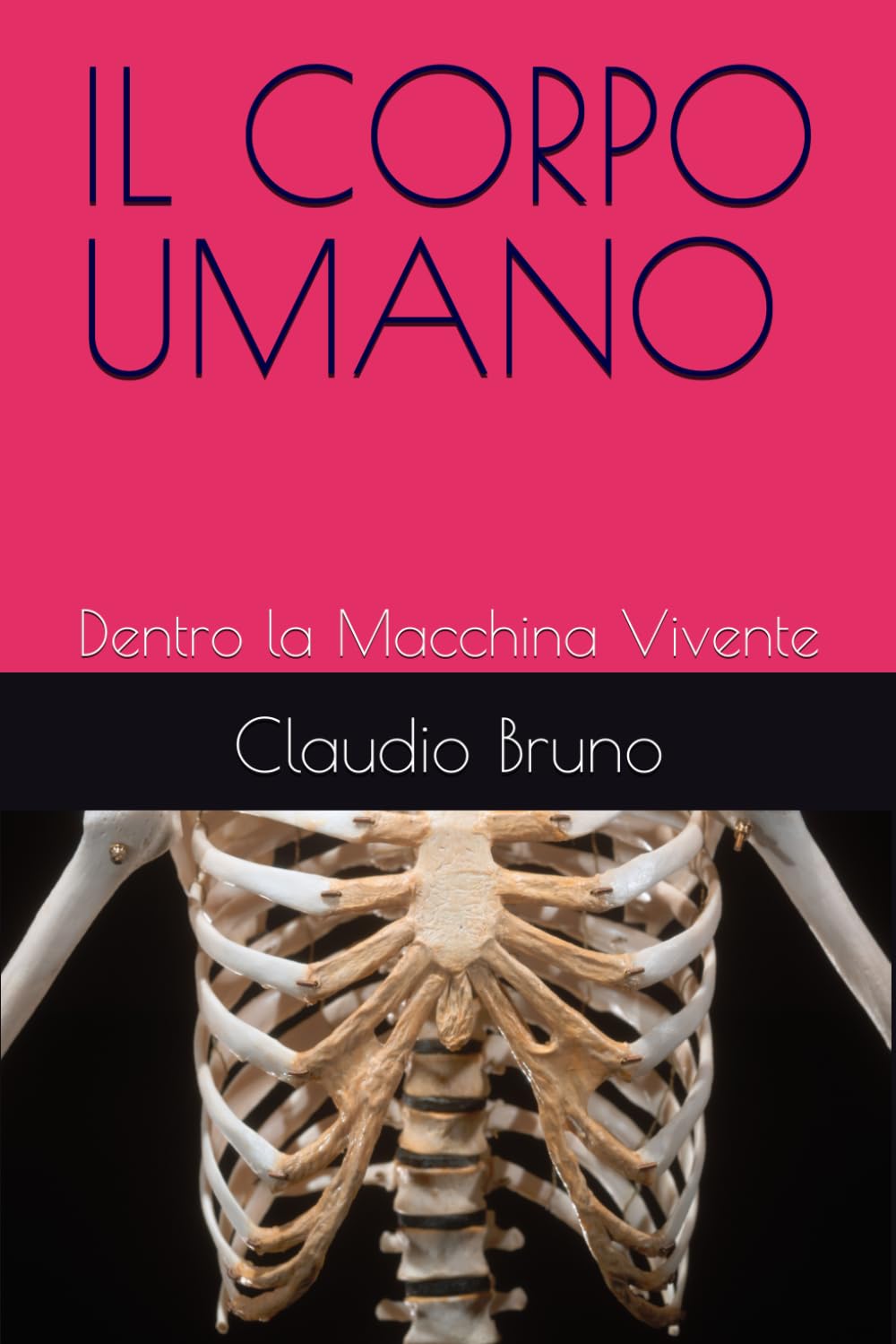 Il Corpo Umano: Dentro la Macchina Vivente