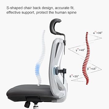 SIHOO M18 Ergonomic Office Chair, High Back Mesh Desk Chair with Adjustable Headrest & Lumbar Support, Computer Chair with 2D Armrests & Wide Cushion, Tilt Lock, for Home Office 330lbs Capacity Black
