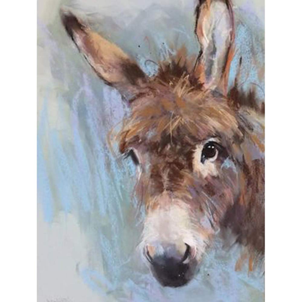 Stamped Cross Stitch Kits for Adults Beginners with Easy Funny Pattern UK Animal Donkey 11ct DIY Embroidery Crafts for Needle Point Starter Kit Home Decor Wedding Gift（16×20inch)