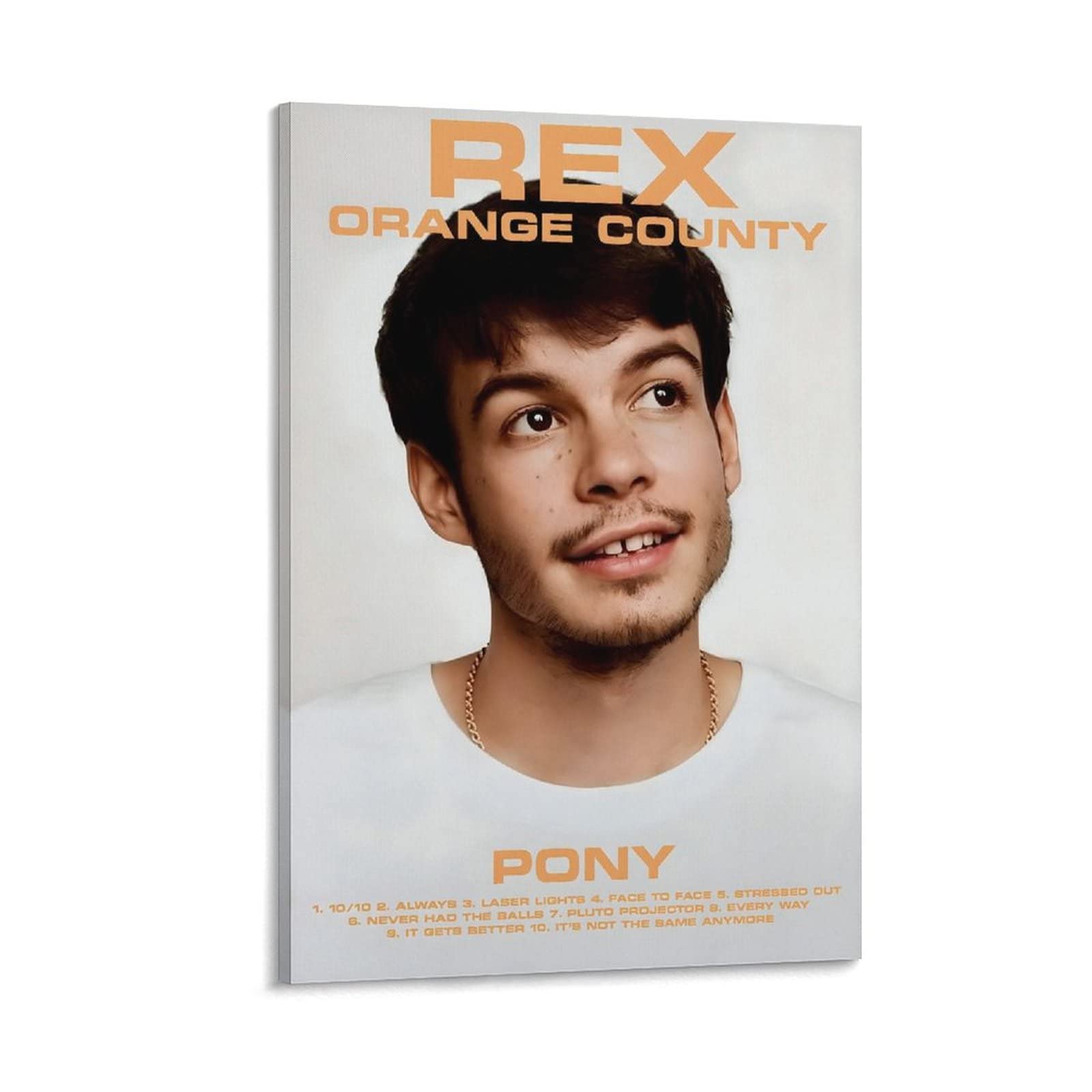 Impression sur toile Rex Orange County Pony 50x75 cm poster chambre - 6
