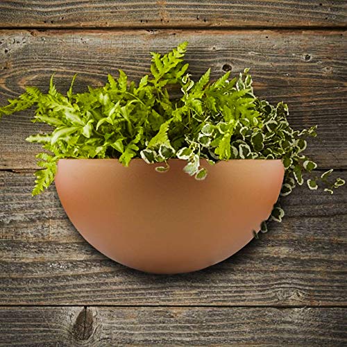 The 30 Best Wall Mount Planters of 2024 [Verified] Cherry Picks