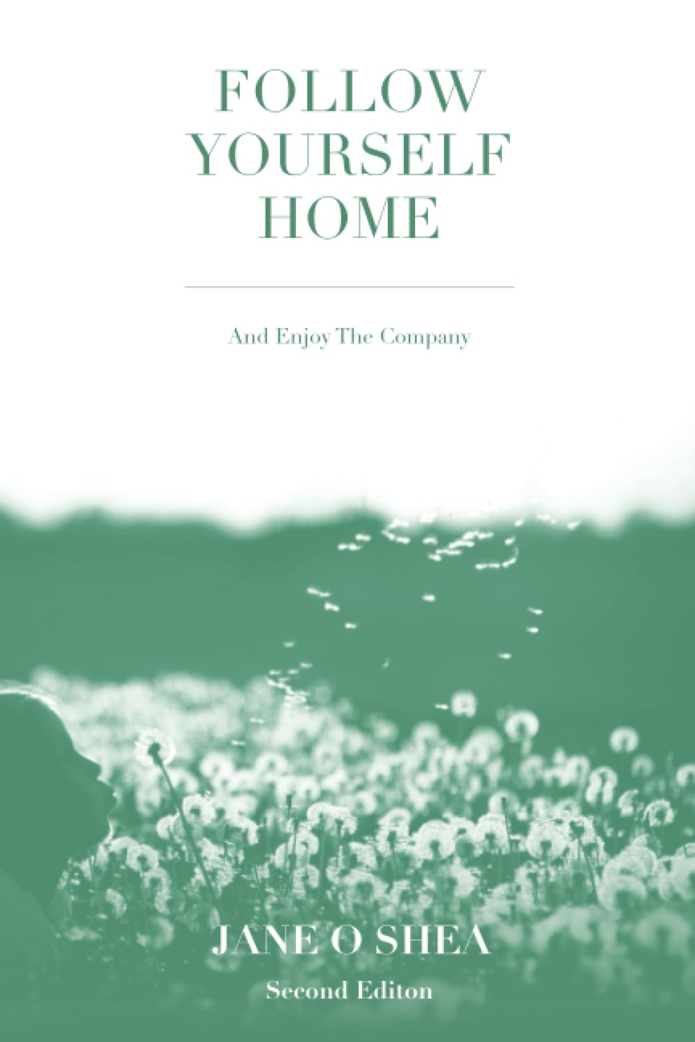 Follow Yourself Home: and enjoy the company