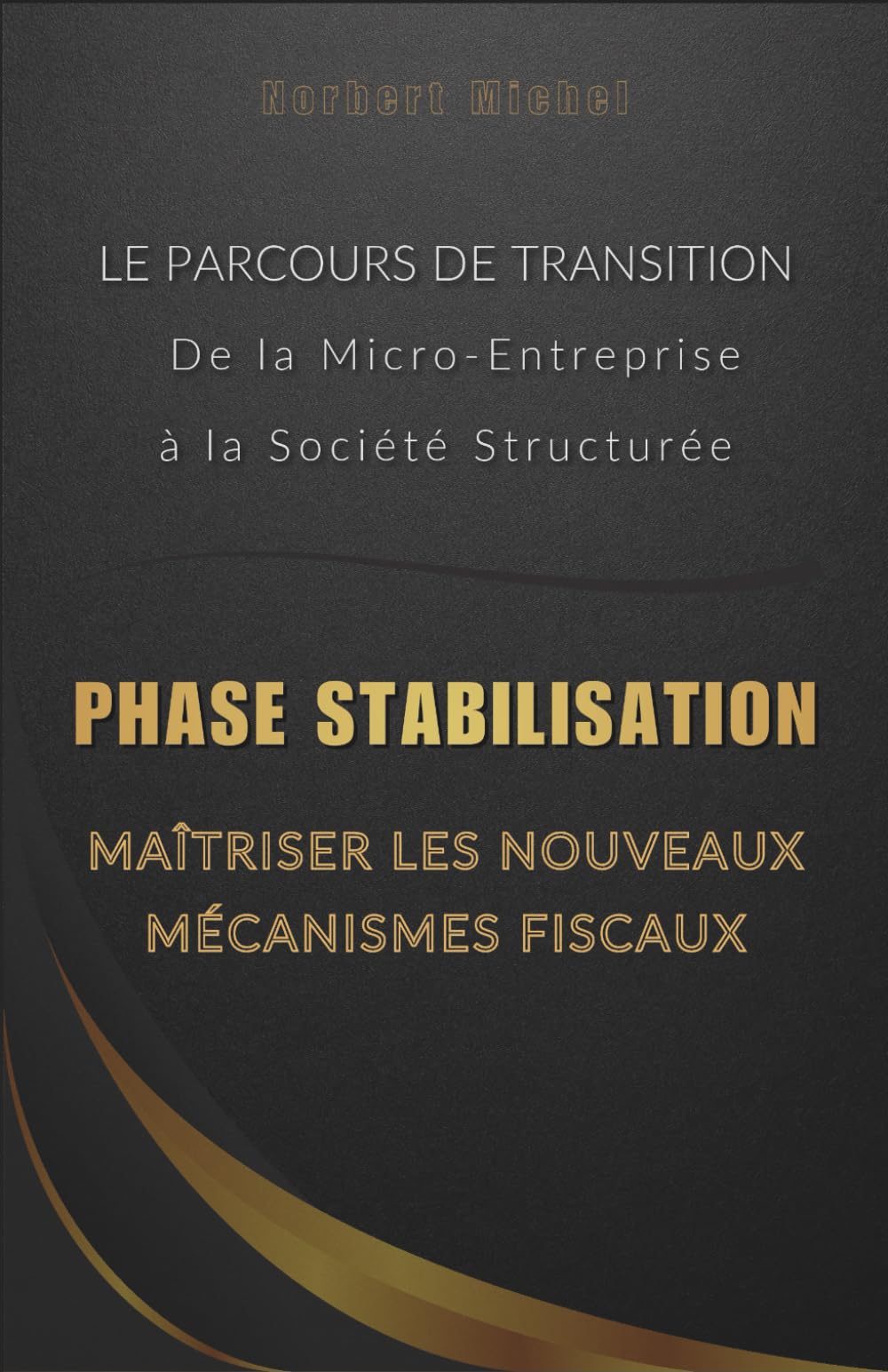 Phase Stabilisation : Maîtriser les Nouveaux Mécanismes Fiscaux (Le Parcours de Transition : De la Micro-Entreprise à la Société Structurée)