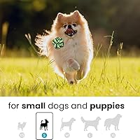 Vista 2 de Otterly Pets Paquete de 6 bolas de cuerda para perros pequeños y cachorros, juguetes masticables duraderos e interactivos, para jugar y buscar