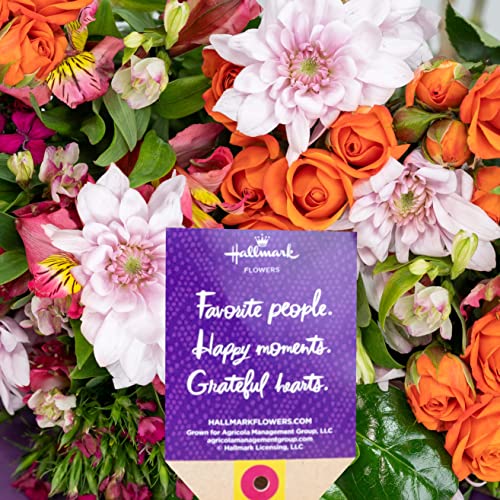 Charming Bouquet, Fresh Cut Flowers, No Vase, From Hallmark Flowers #TOP4