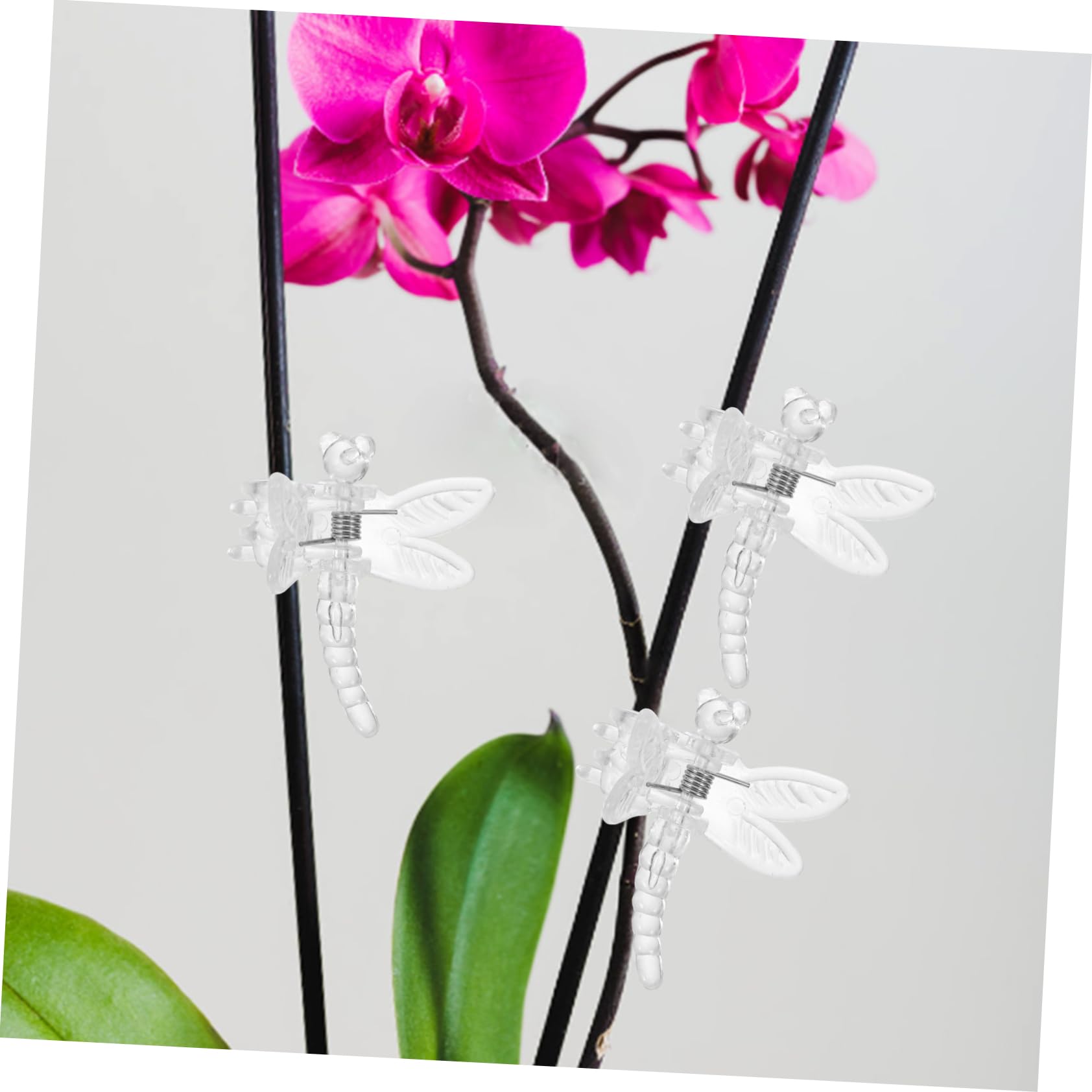 TOYANDONA 5 Sätze Transparente Pflanzenclips Multifunktionale Orchideen Clips Zur Unterstützung Von Pflanzenstängeln Für Weinreben Und Gemüse Gartenwerkzeug Für Sicheres 10 Stück * 5