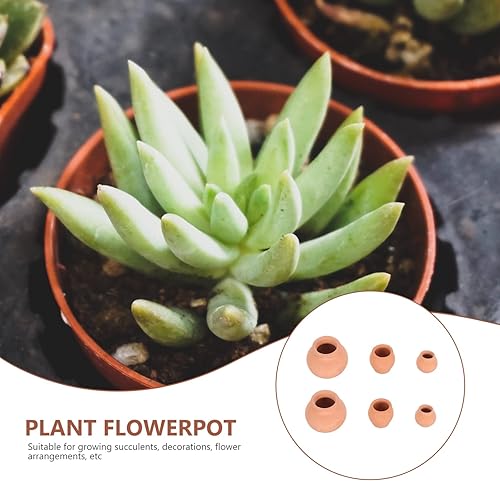 Miniatura 5 de GANAZONO 6 macetas pequeñas de barro de terracota, maceta de cerámica de cerámica, maceta de cactus, cuarto de bebé, macetas redondas para plantas