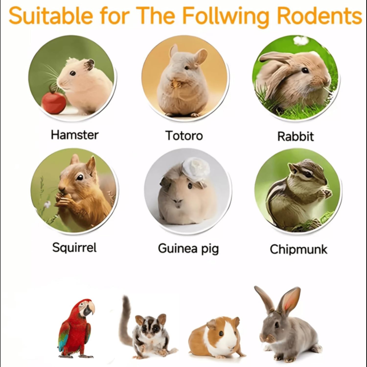 Tropical Fruit & Nut Mix - Chinchilla Food, Suitable for Rabbits, Guinea Pigs, Sugar Gliders & Small Herbivores (1.2 lb, Pack of 1)