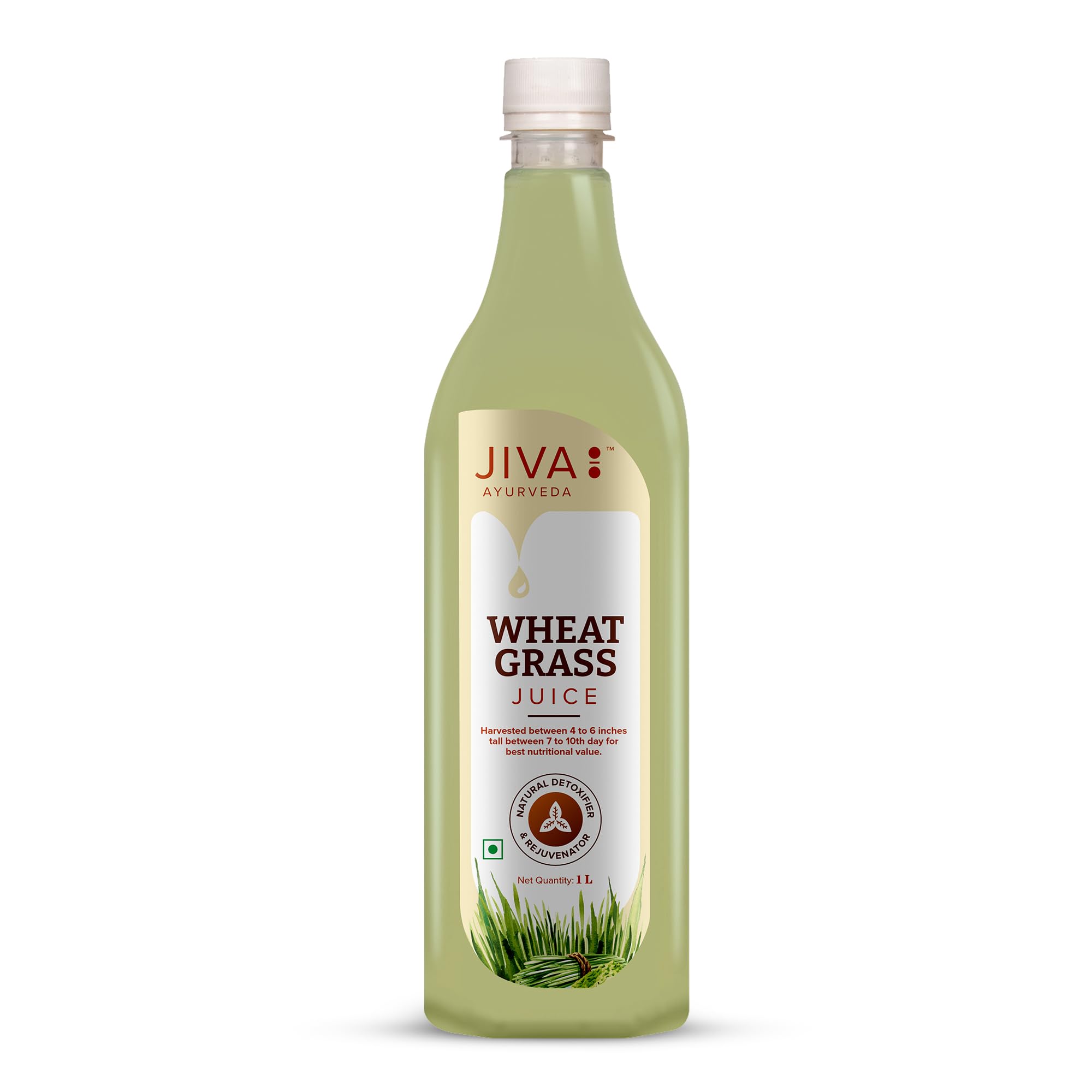Jiva Ayurveda Sea Buckthorn Pulp (300 ml) | Rich in Omega 3, 6, 7 & 9, Vitamin C & Antioxidants | Supports Collagen, Skin Health, Immunity & Digestion | Pure Himalayan Superfruit Concentrate — Amazon image 15