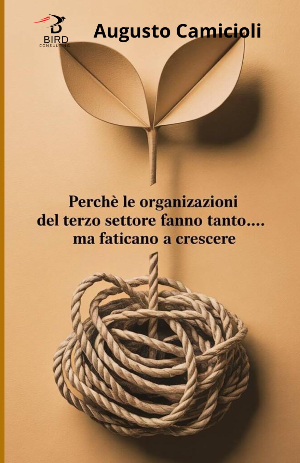 Perchè le organizzazioni del Terzo Settore: fanno tanto... ma faticano a crescere