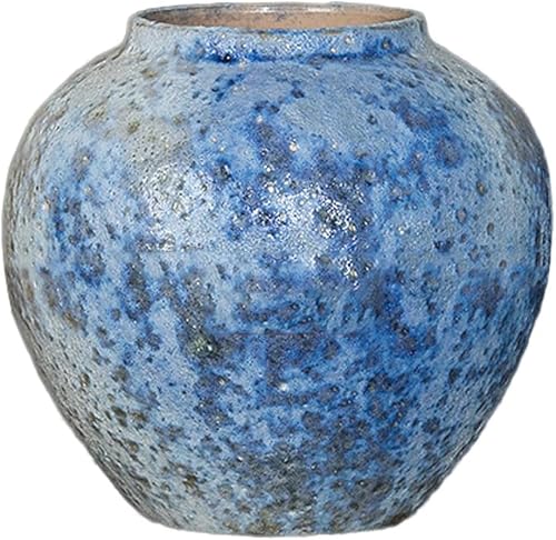 asdchZen Grain Dispenser With Ceramic,Rice Container, Ceramic Ginger Jarmodern Simple Ceramic Vase Retro Dry Flower Arrangement Vase,W22 X H21cm