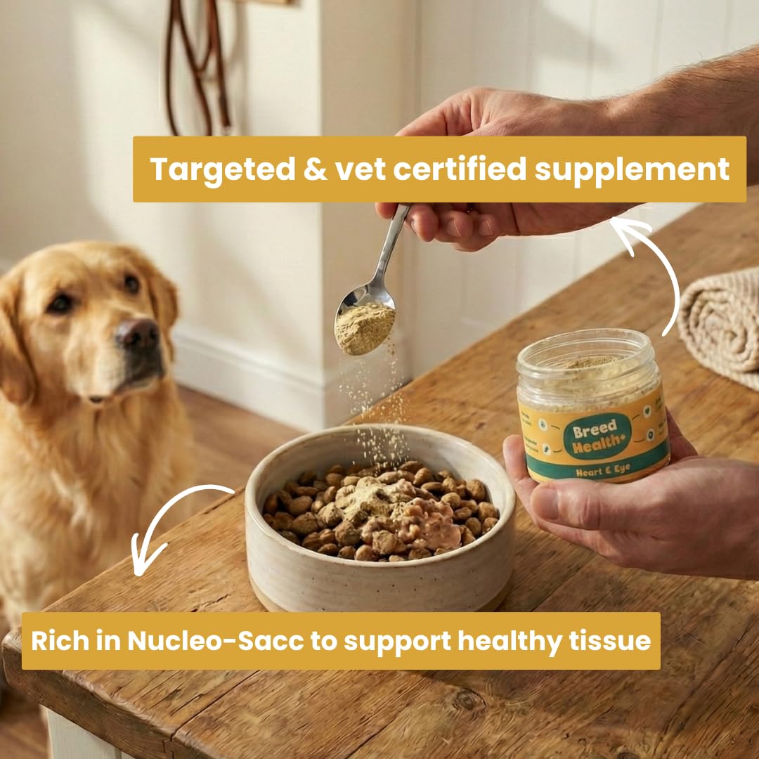 View 6
