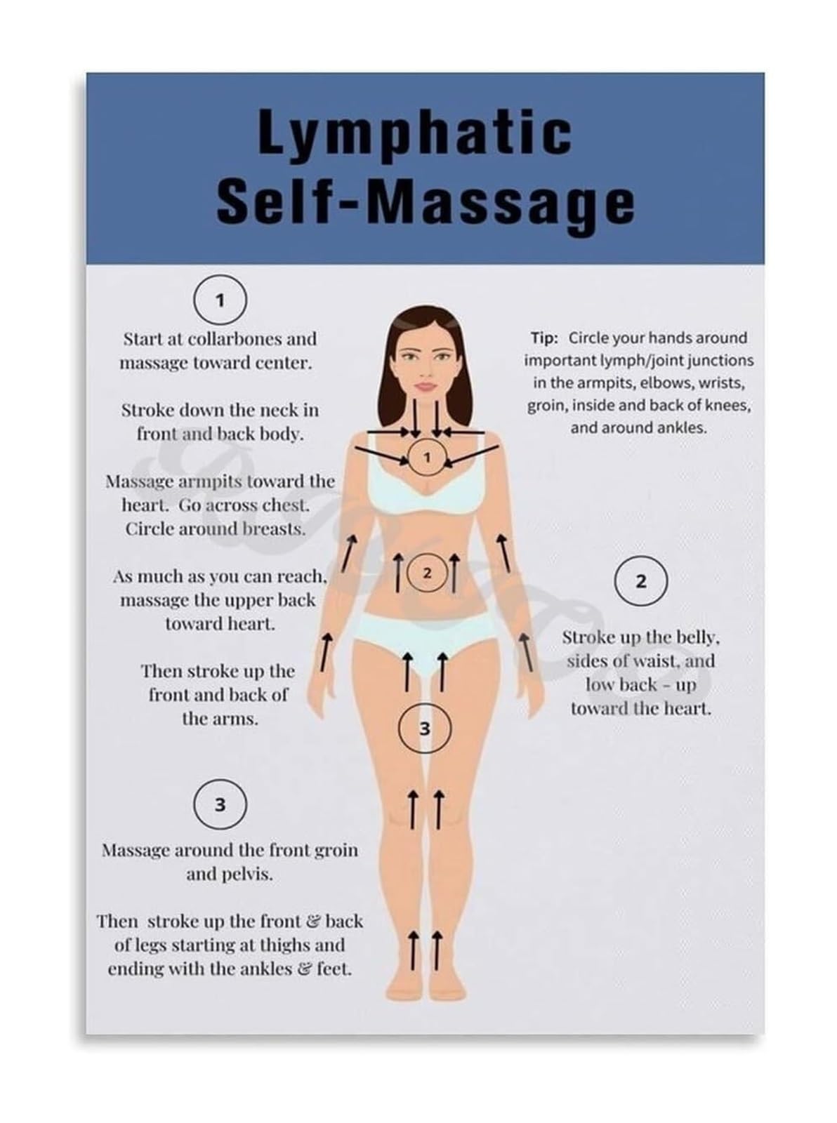 AUOQKQUT Home Office Decor Metal Tin Sign Lymphatic System Anatomy Chart Informative Health and Wellness Reference Guide (8 X 12 in)
