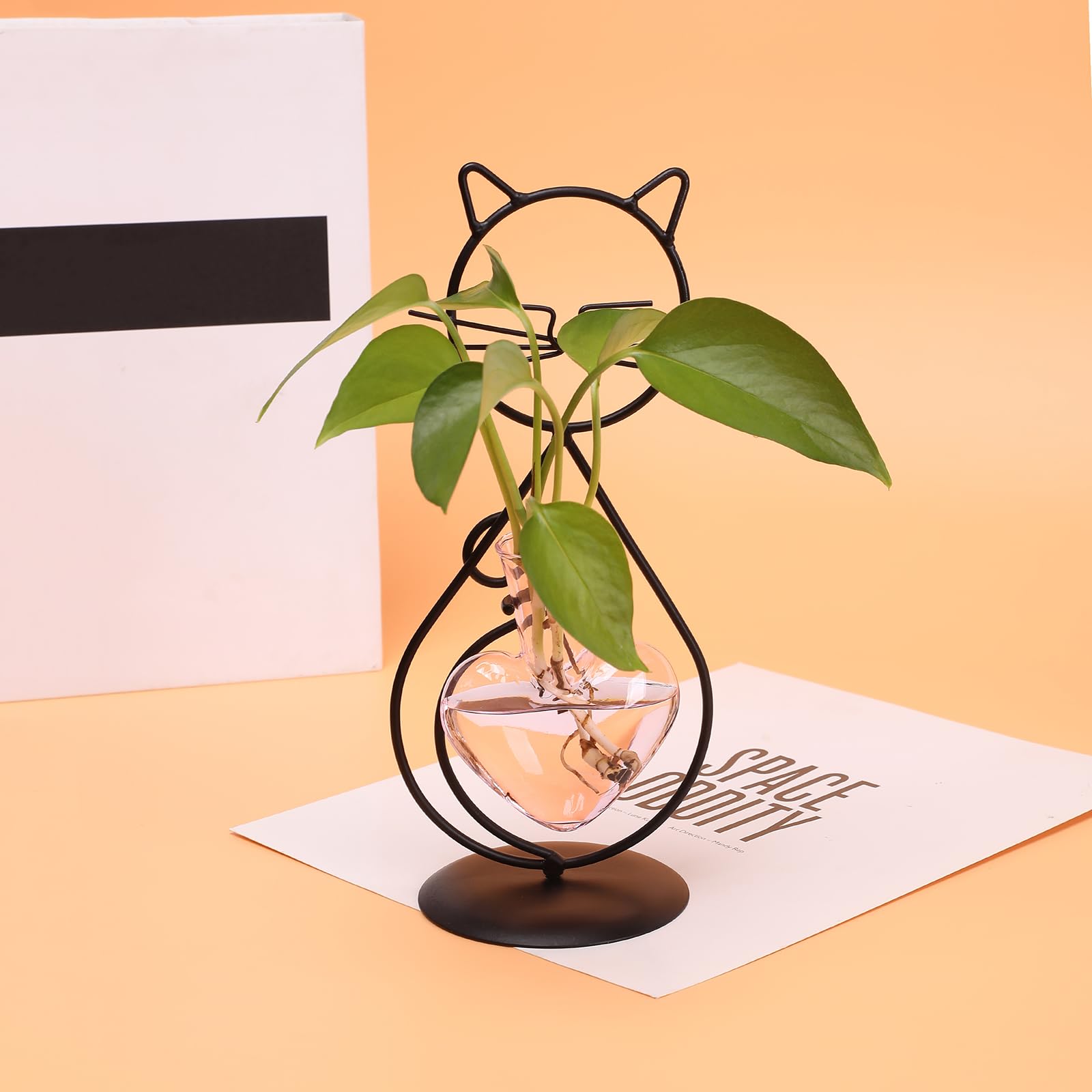 Terrarium roślina stacja rozmnażania roślin miłośnik kotów prezenty dla kobiet miłośników roślin dom biuro dekoracja kot biurko akcesoria