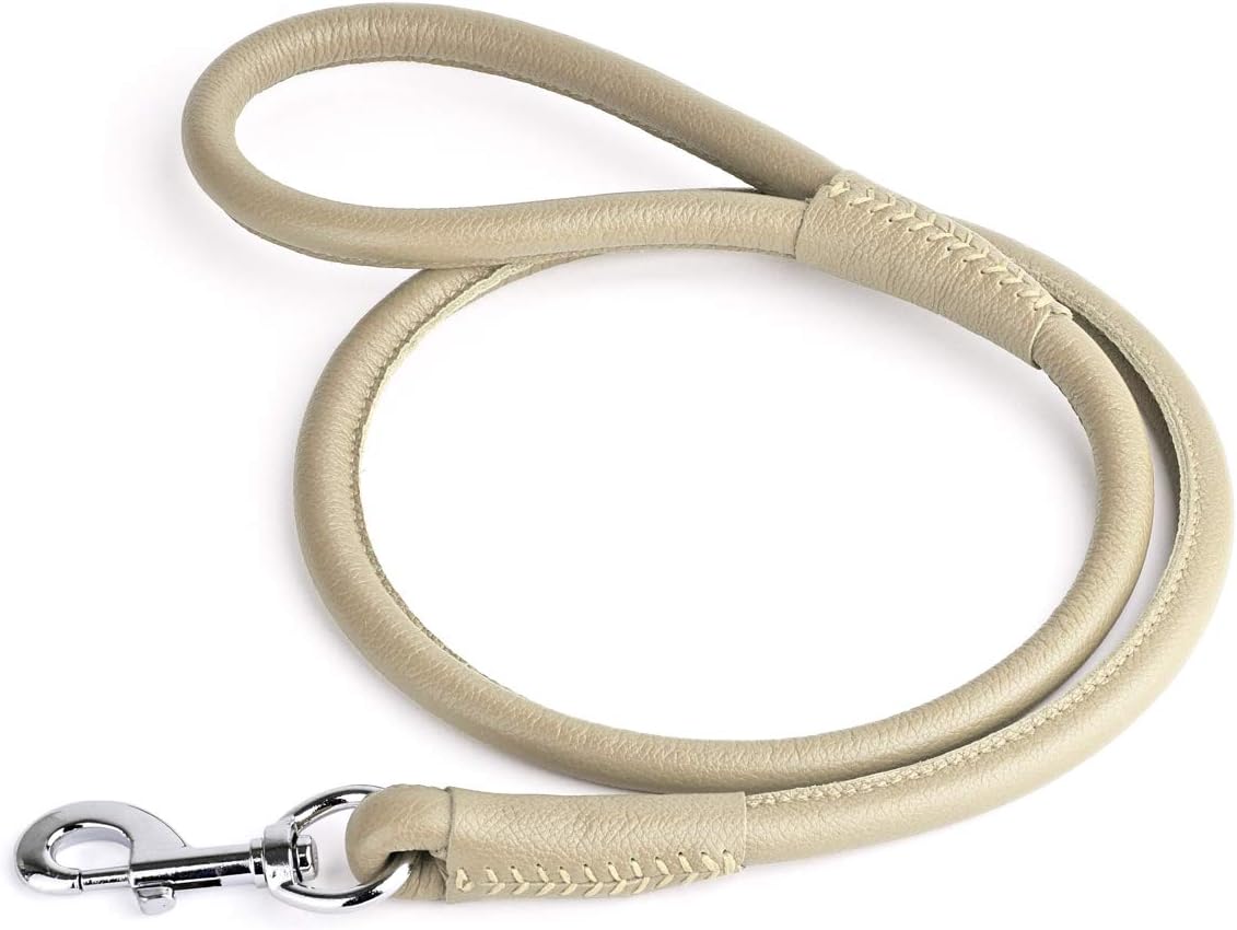 rolled leather leash
