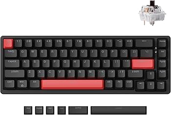 Qwertykey Neo65 red 自作キーボード Qwertykey Neo65 red 自作キーボード Instock] Neo65 Kit – qwertyqop