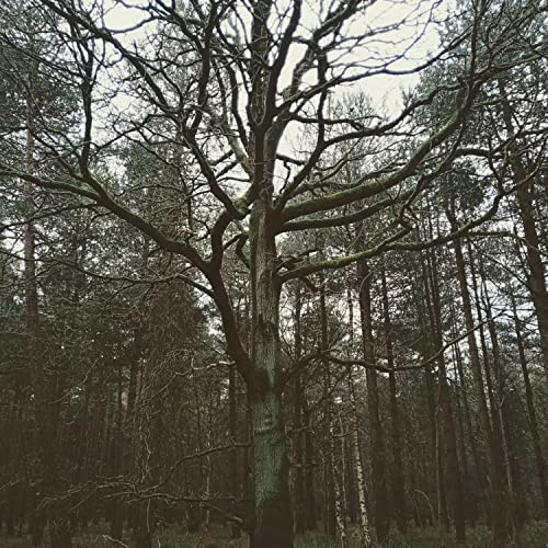 Amazon MusicでTom JordanのDeceptionを再生する