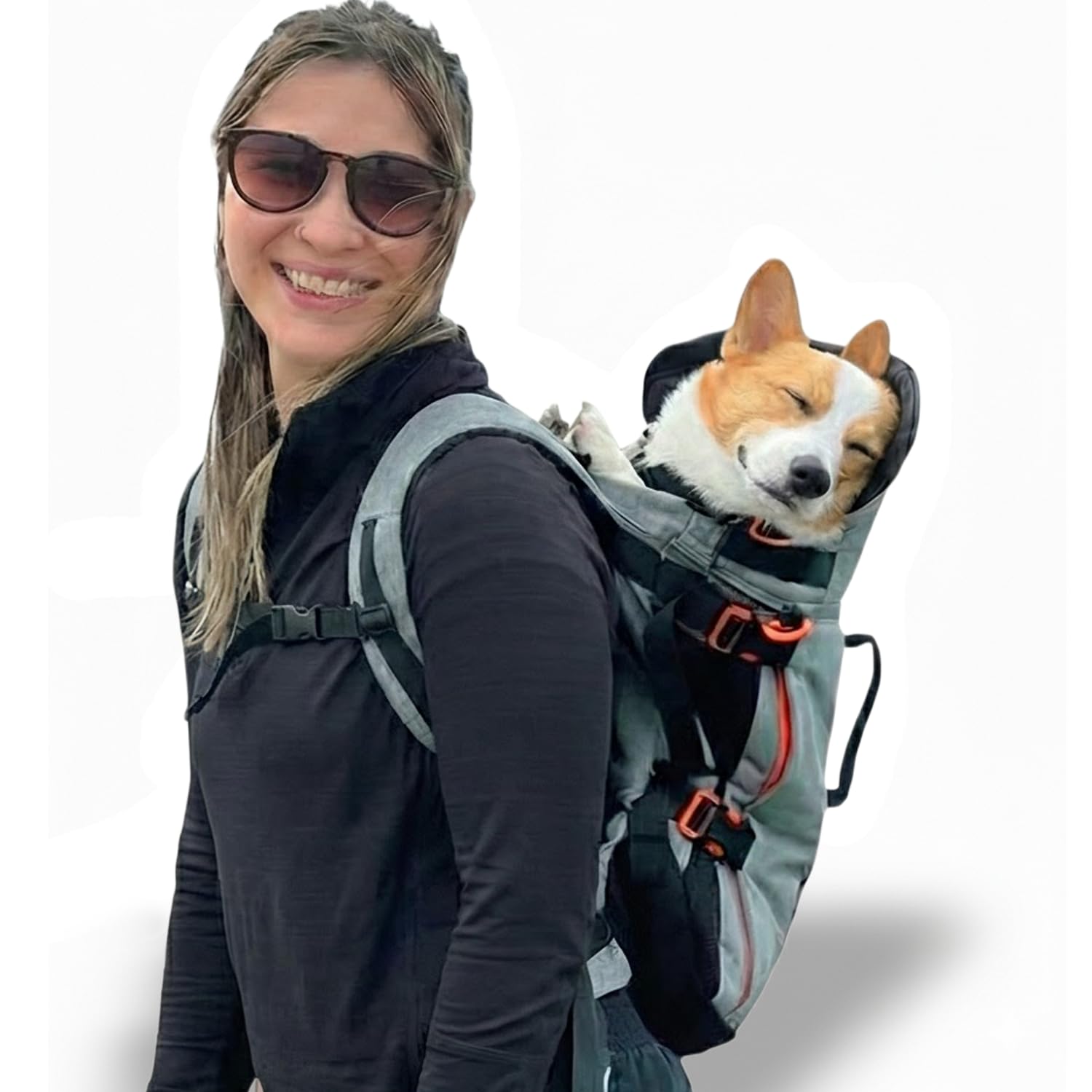 Maxine One Dog Backpack Carrier for Medium Dogs by Little Chonk | Adjustable & Ergonomic Front Facing Dog Carrier Backpack | Bult to be Safer | Pet Backpack Carrier, Featured in Wired Magazine - Gray