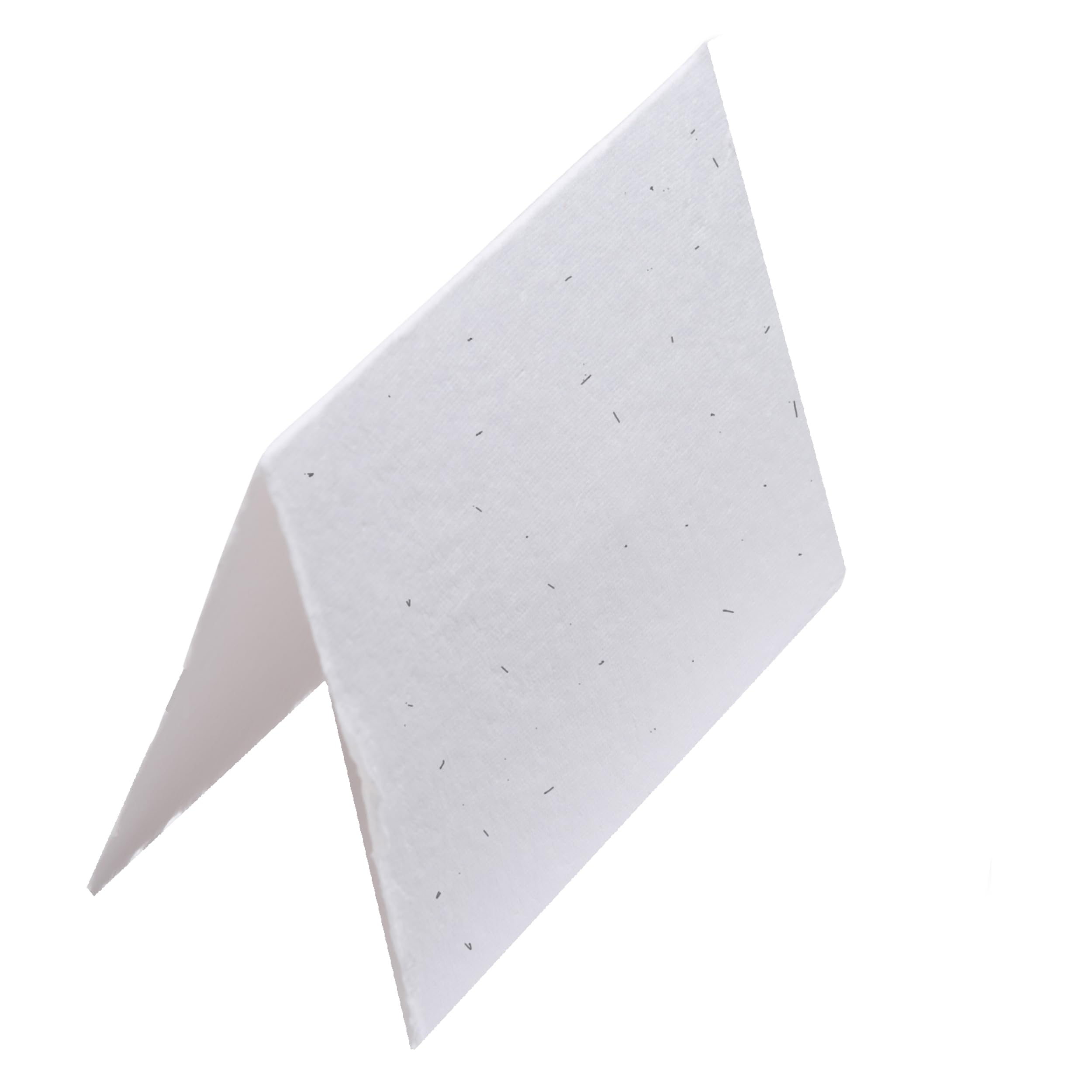 Wanderings Handmade Flower Seed Tent Cards – 2 x 3.5” / 5.5 x 9.5 Cm – Pack of 25 – Plantable Wildflower Seed Paper Place Cards for Weddings, Banquets & Dinner Parties – 250 GSM Deckled Edge