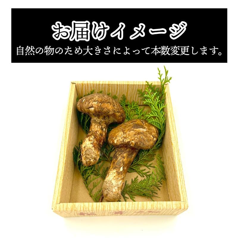 Amazon.co.jp: [みさわのやさい] 松茸 訳あり 家庭用 中国産 マツタケ