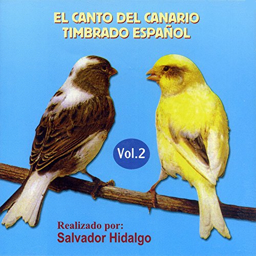 El Canto Del Canario Timbrado Espaol