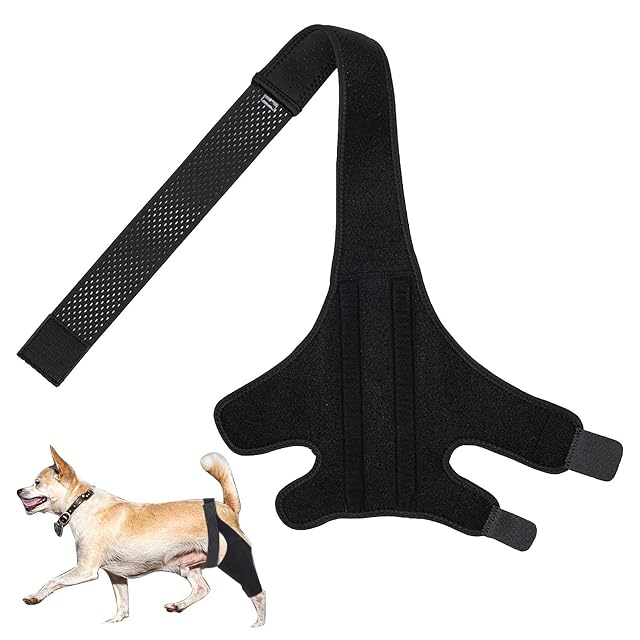 Inmovilizador para Perro - Soporte para el Cuidado y las articulaciones la Cadera del Perro, Rodilleras…
