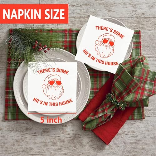 There’s Some Hos In This House Napkins, Funny Christmas Party Decorations, Christmas Xmas Holiday Party Decorations, Christmas Friendsmas Party, Christmas Birthday Party Supplies(5 X 5 In, 30-Pack) #TOP2