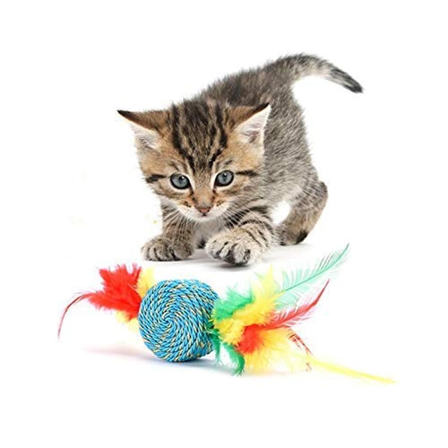 See full amazon price history chart for emily pets Scratching with Feather Cat Toy for Exercise Cats and Kittens (Color: Blue) emily pets Scratching with Feather Cat Toy for Exercise Cats and Kittens (Color: Blue) (B08LLB164T) Amazon Price History, Amazon Price Tracker
