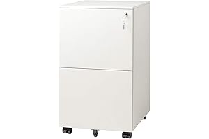DEVAISE 2-Drawer Mobile File Cabinet White