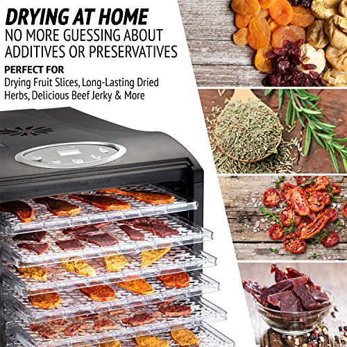 Ivation 9 Tray Countertop Digital Food Dehydrator Drying Machine 600W With Preset Temperature Settings, Auto Shutoff Timer And Even Heat Circulation For Beef Jerky, Fruits, Vegetables & Nuts #TOP1