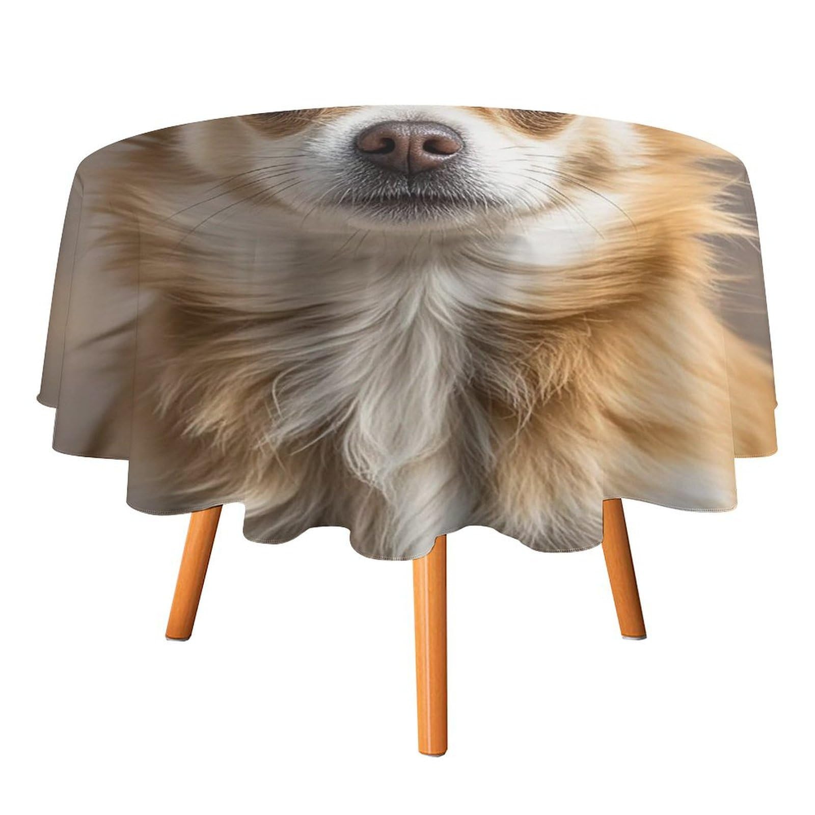 Nappe ronde chihuahua 152 cm imperméable et antitache pour table de salle à manger