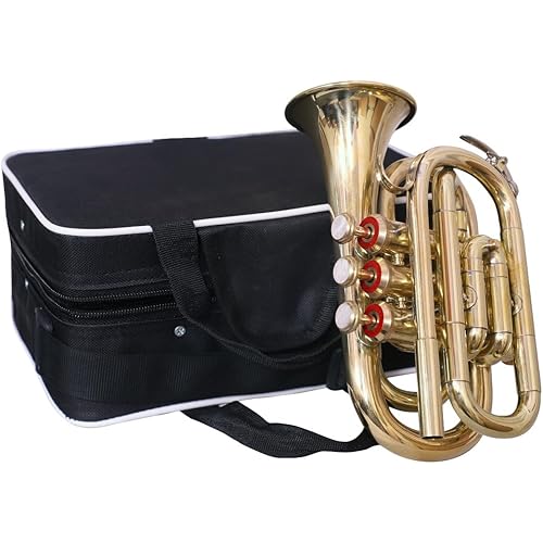 Sai Musicals Bb Pocket Trumpet Horn in Brass Finish with Mouthpiece & Carrying Hardcase, Practise Mute for Students & Advance Level, Perfect Cornet Gift For Birthday, Christmas (Gold)
