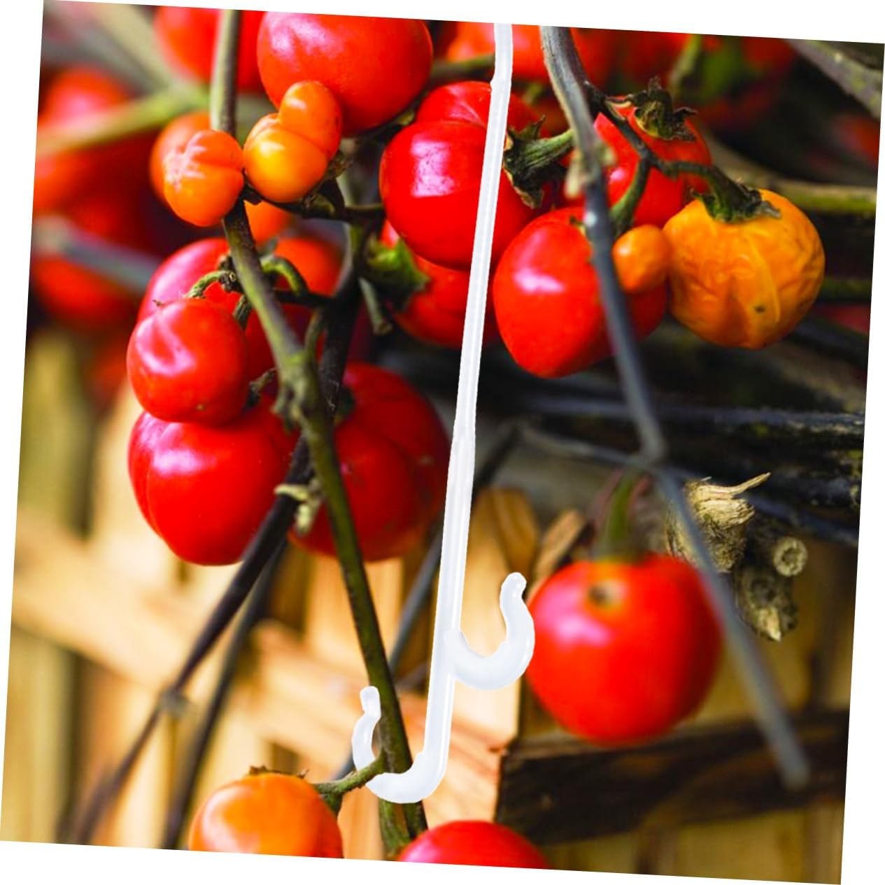 VANZACK 850pcs Tomato Plant Support Cages Fruit Ear Hook Easy to Install Plant Sticks