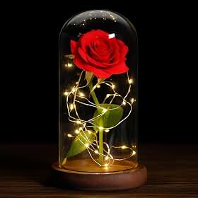 Cúpula com Rosa Artificial Vermelha LED – Decoração Romântica para Presente, Aniversário e Lembrancinha – Storeasy