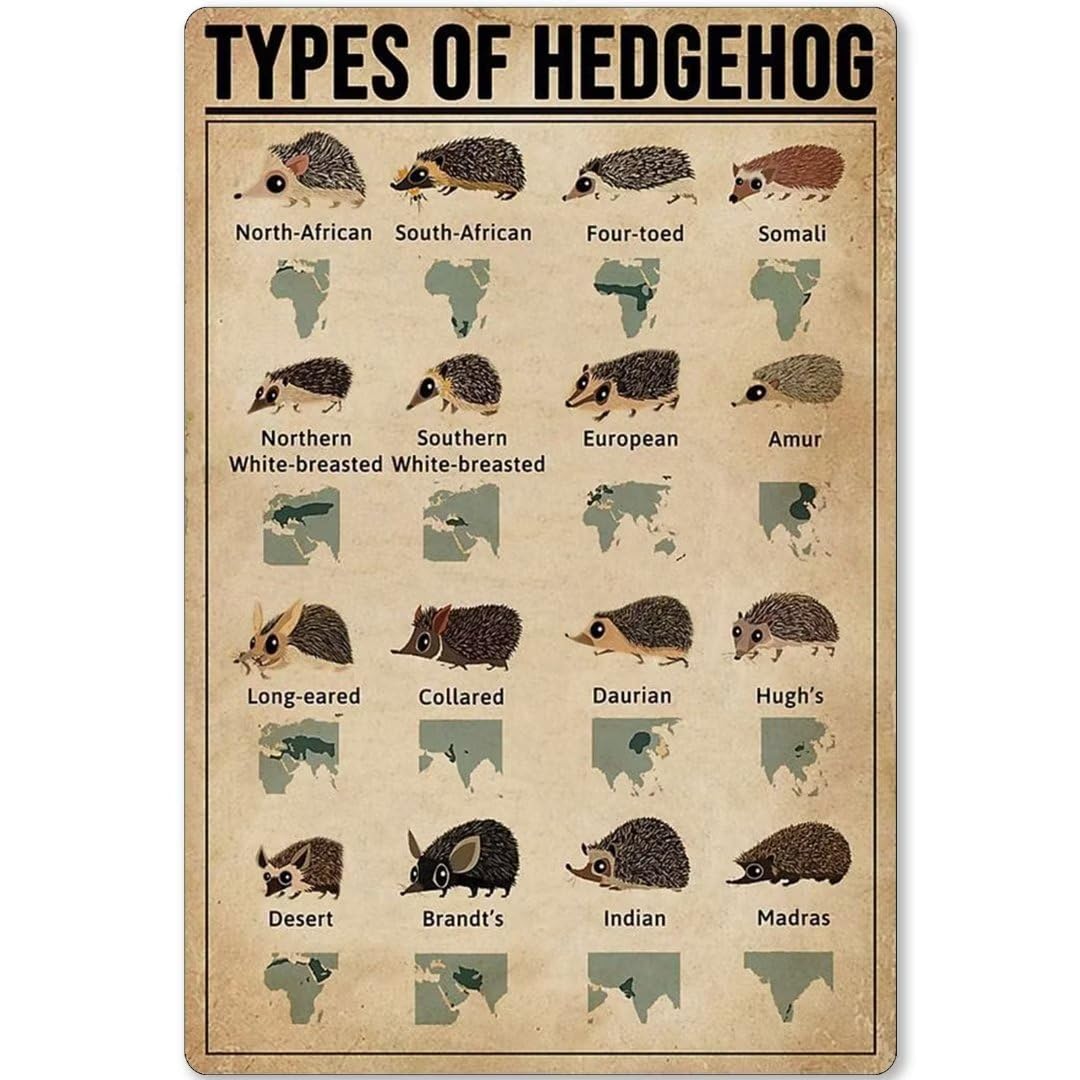 FJQWKLF Types Of Hedgehog Vintage Types Of Hedgehog Metal Sign Metal Metal SignVintage Home Decor Metal Tin Sign For Coffee Studio Office Bar Cave Wall Decor 8x12 Inch