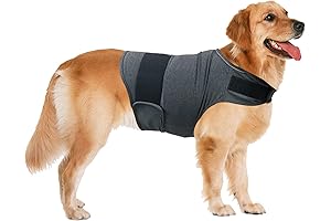 The Ultimate Weighted Vest for Anxious Dogs