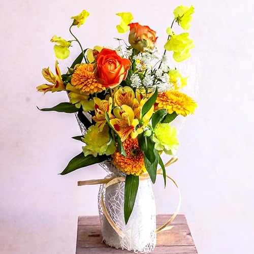  Ԃ͂ȃu[P g[ MTCY (CG[&IW)  ԑ ^ ԕr炸 Mtg t[ AWg bsOĂ͂ a LO j j LO u[P  _ސ̉ԉ t[Xg b܎