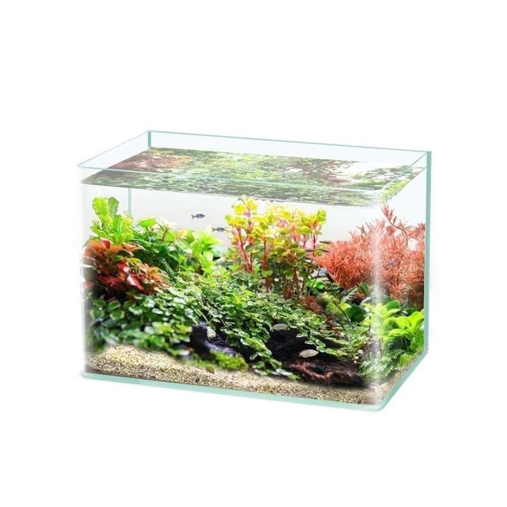 Aquarium Beheizbares, gebogenes Aquarium aus ultraklarem Glas, ideal for den Schreibtisch im Wohnzimmer(40cm)