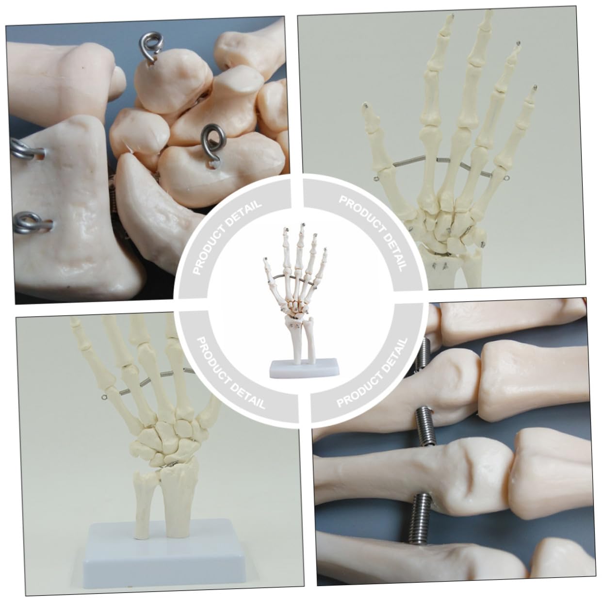 PRETYZOOM 2 Pezzi Modello Scheletro Della Mano con Articolati Strumento Didattico per Ospedali e Scuole per Laboratori Scientifici e Insegnamento Della Anatomia