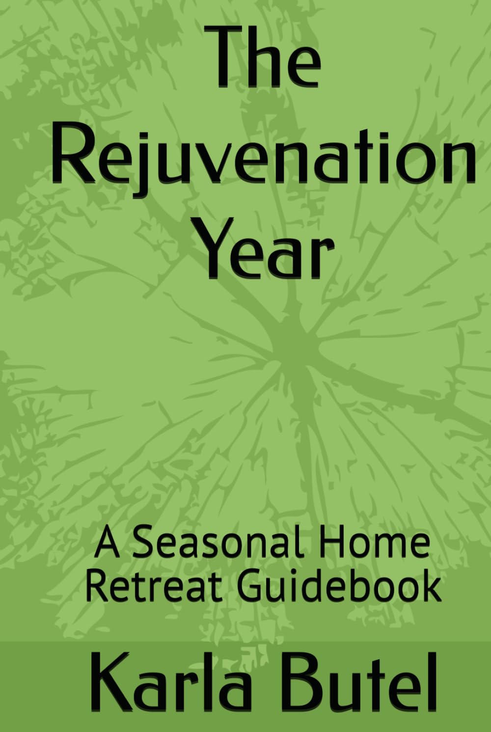 The Rejuvenation Year: A Seasonal Home Retreat Guidebook (The Rejuvenation Series – Home Retreats for Rest, Renewal, and Inner Balance)